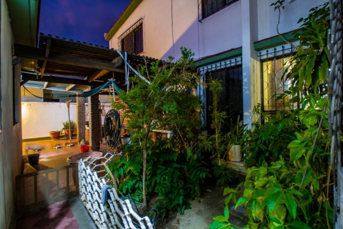 28 de 32: Jardín en patio trasera