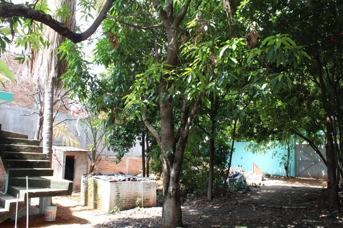 22 de 24: PATIO