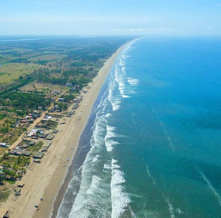 Imagen 6 de 10