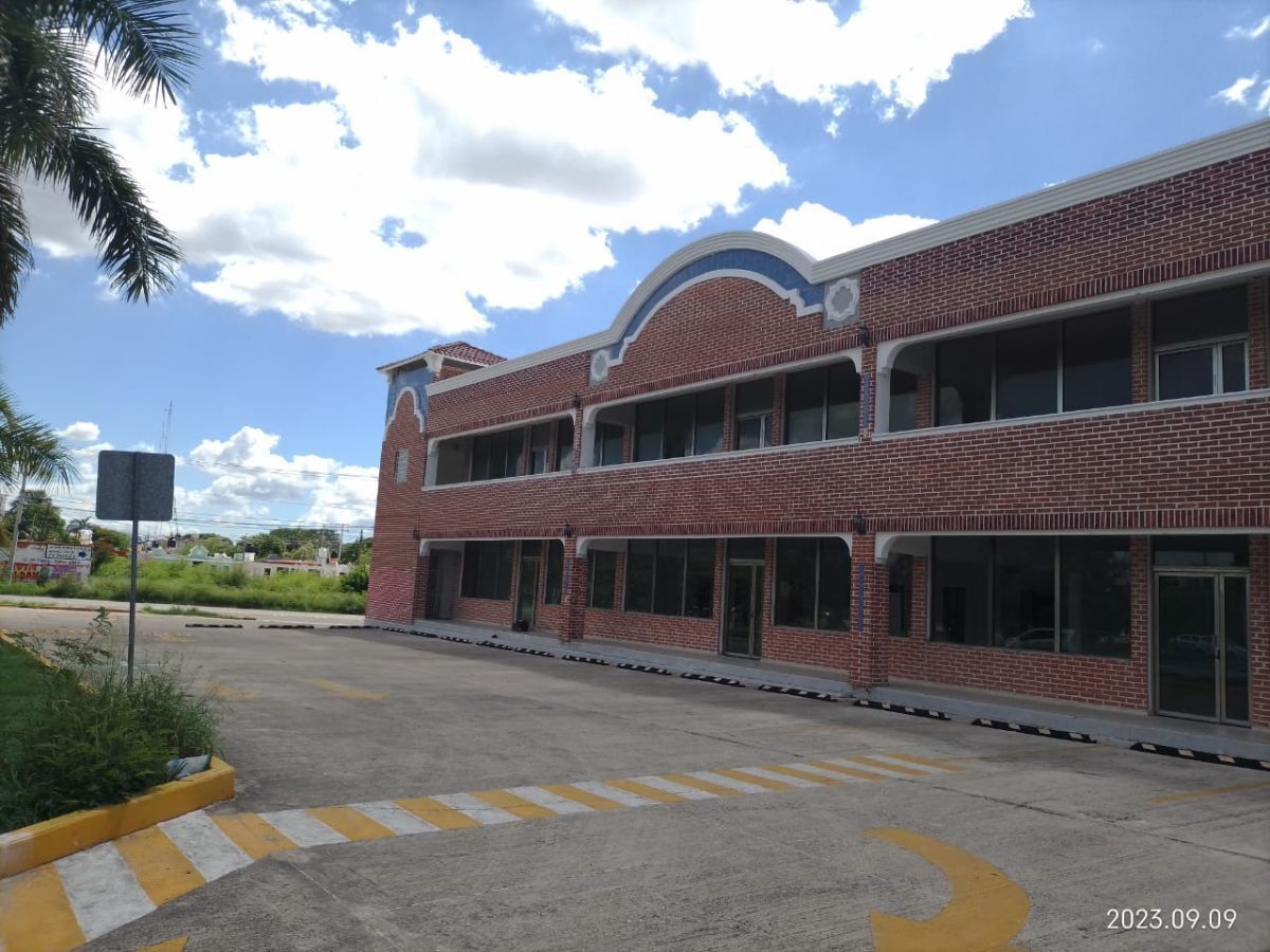 5 de 11