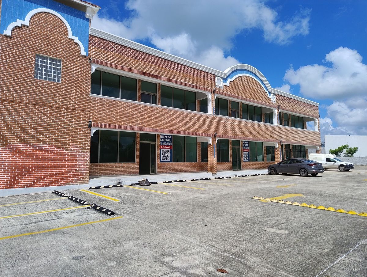 3 de 11