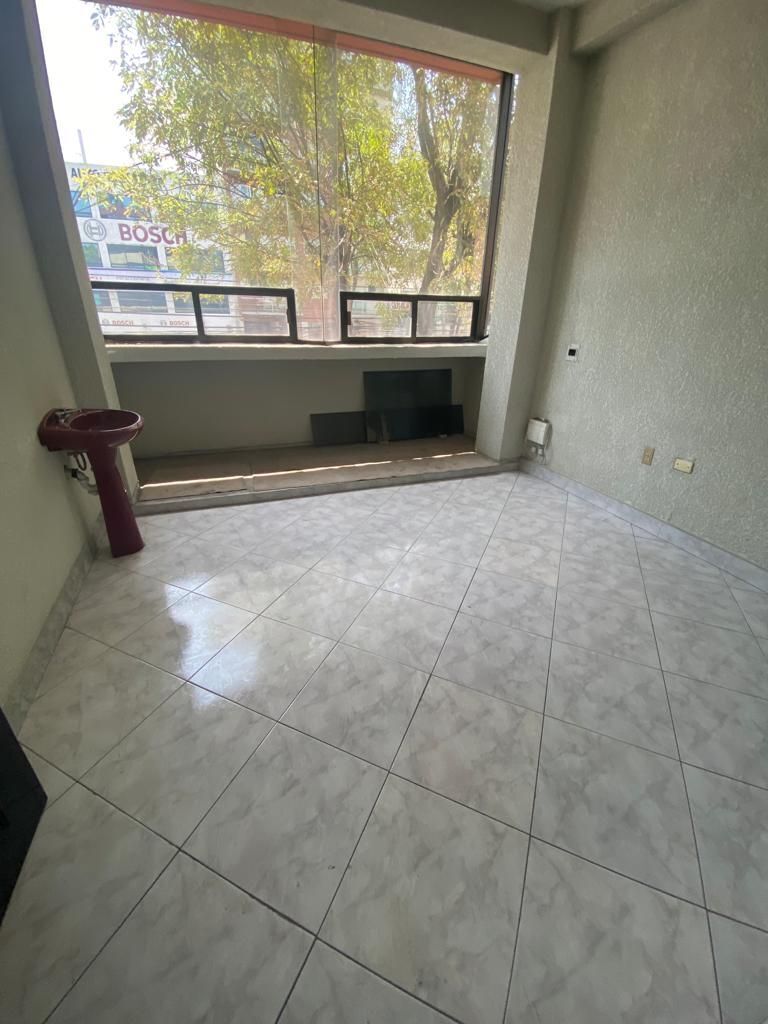 6 de 24