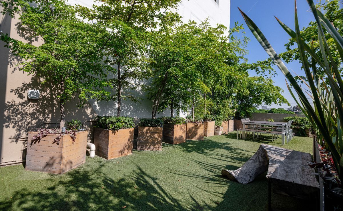 4 de 25: Patio Rooftop
