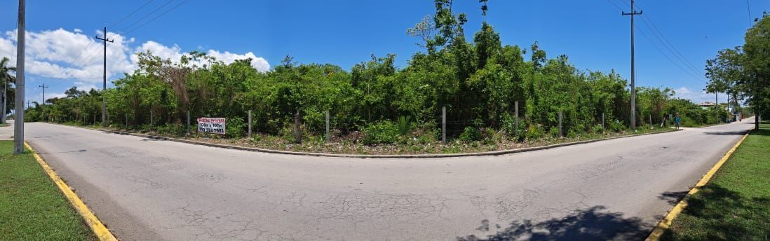5 de 6: VISTA