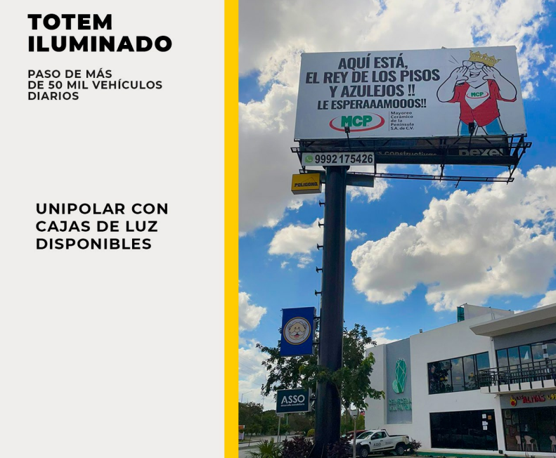 3 de 6