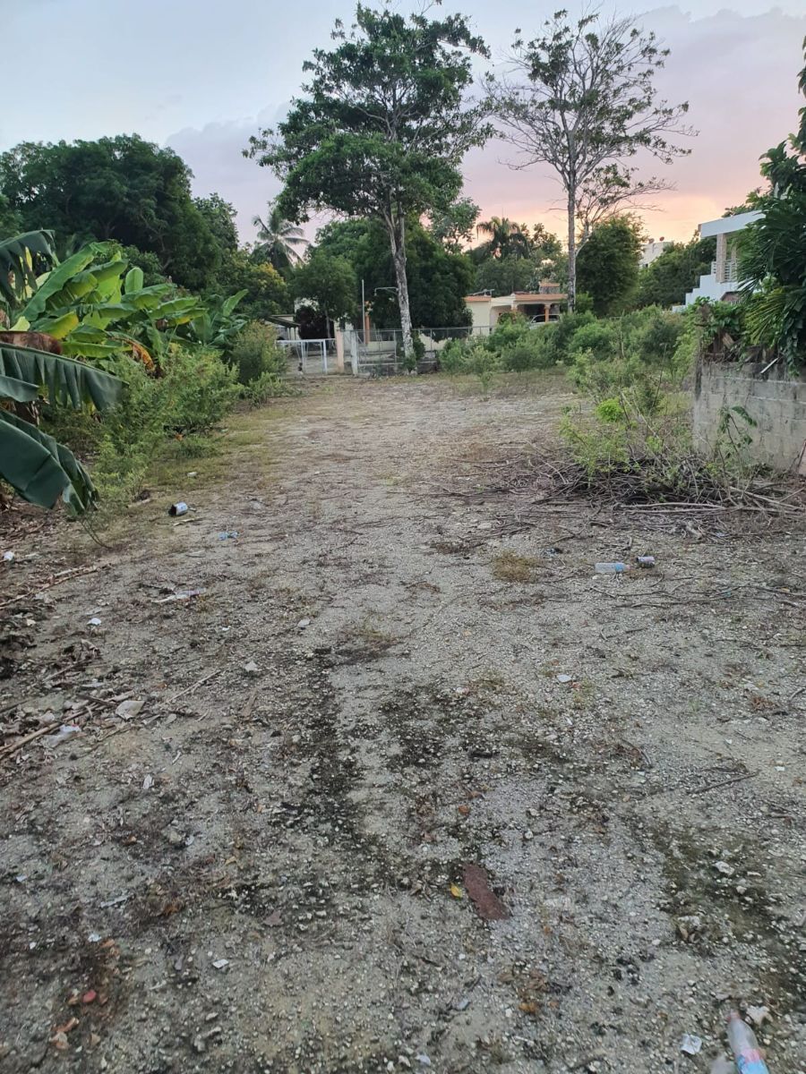 5 de 13