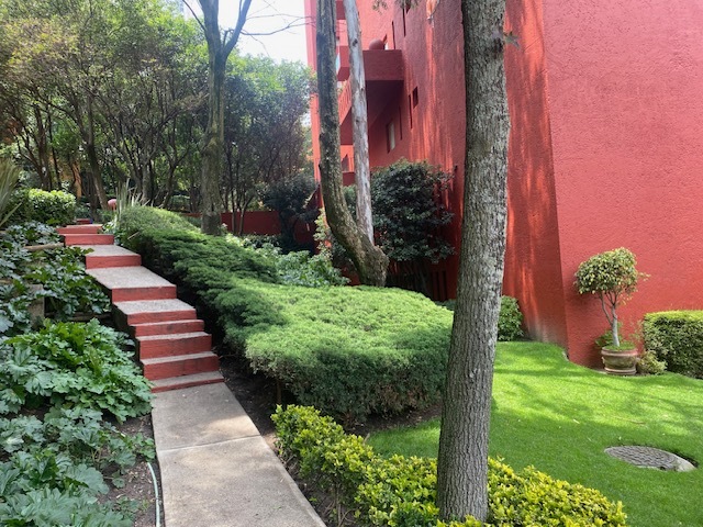 2 de 50