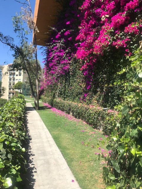 38 de 50