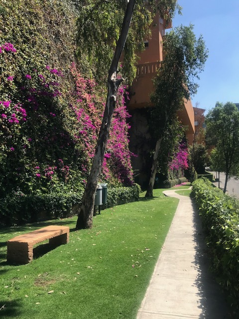 39 de 50