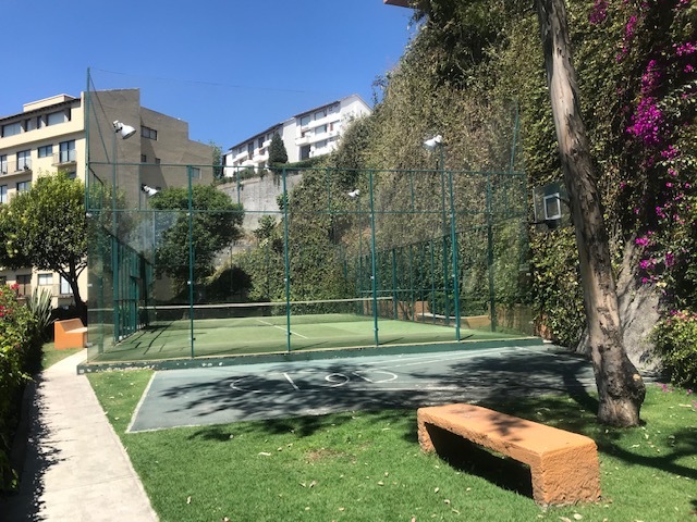 40 de 50