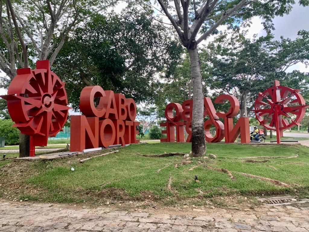 1 de 19