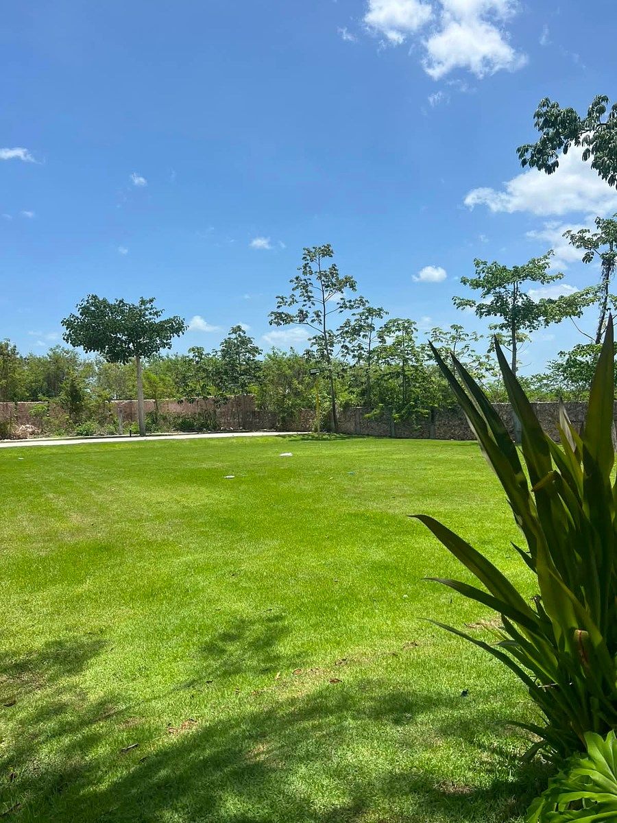 Terreno en Cabo Norte, Mérida, foto 4 de 34