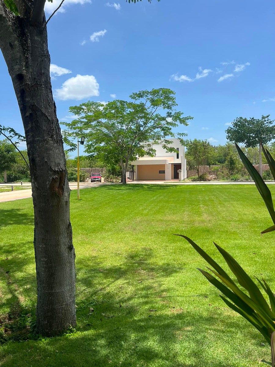 Terreno en Cabo Norte, Mérida, foto 7 de 34