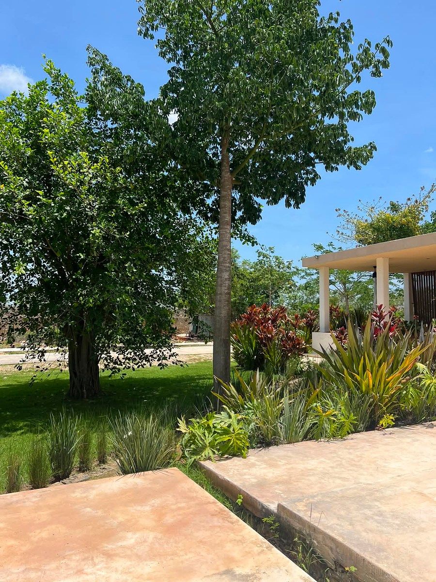Terreno en Cabo Norte, Mérida, foto 17 de 34