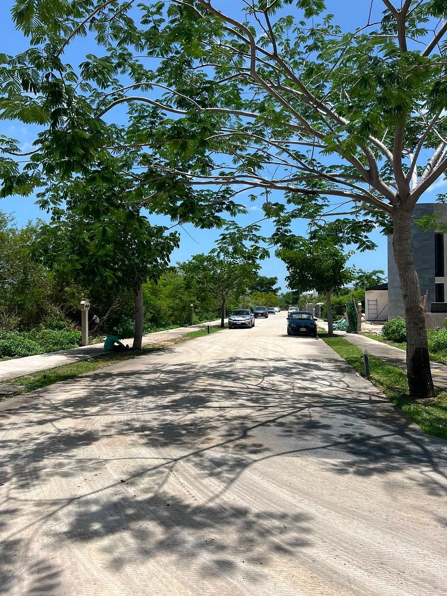 Terreno en Cabo Norte, Mérida, foto 26 de 34