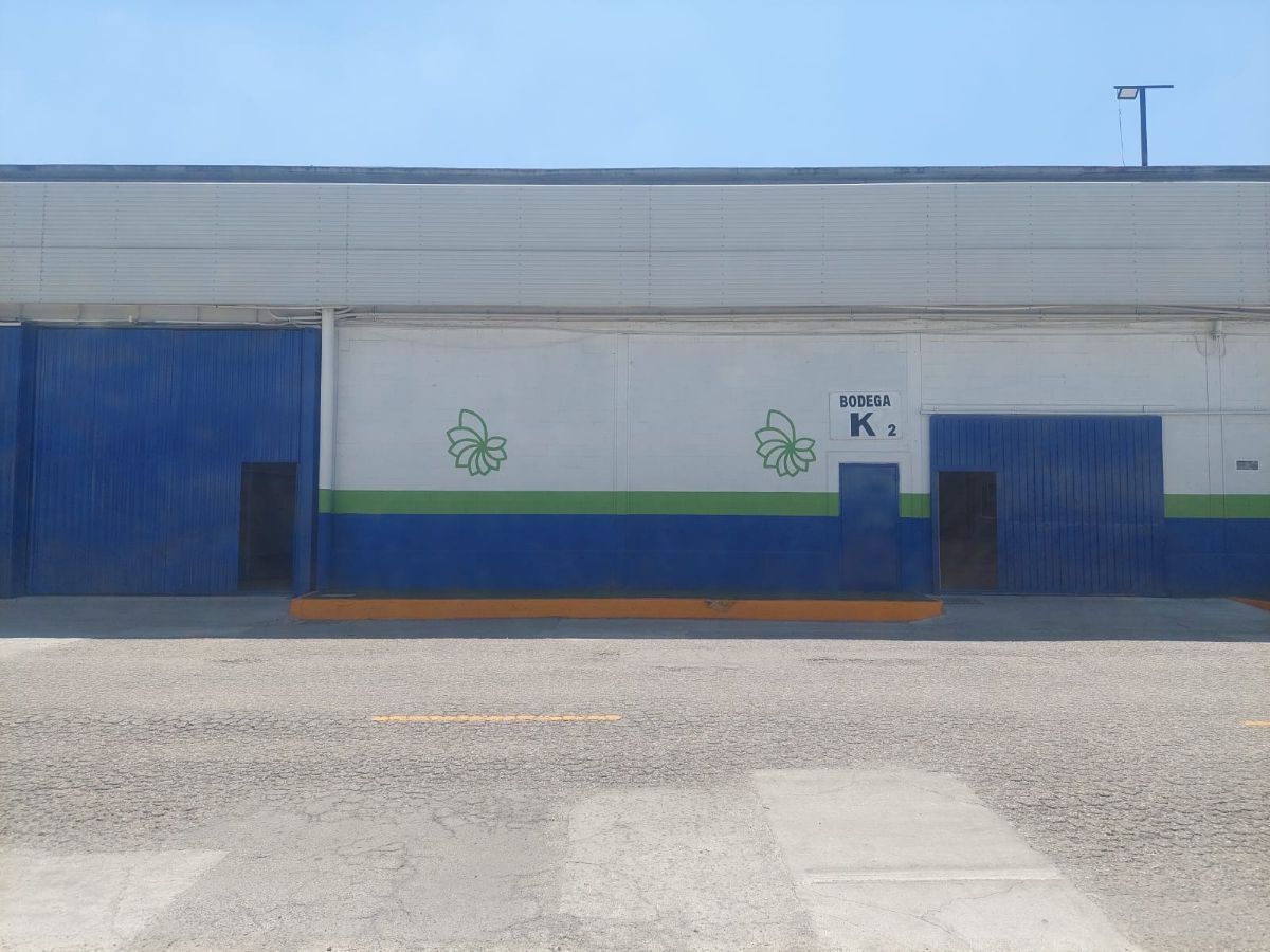 15 de 16