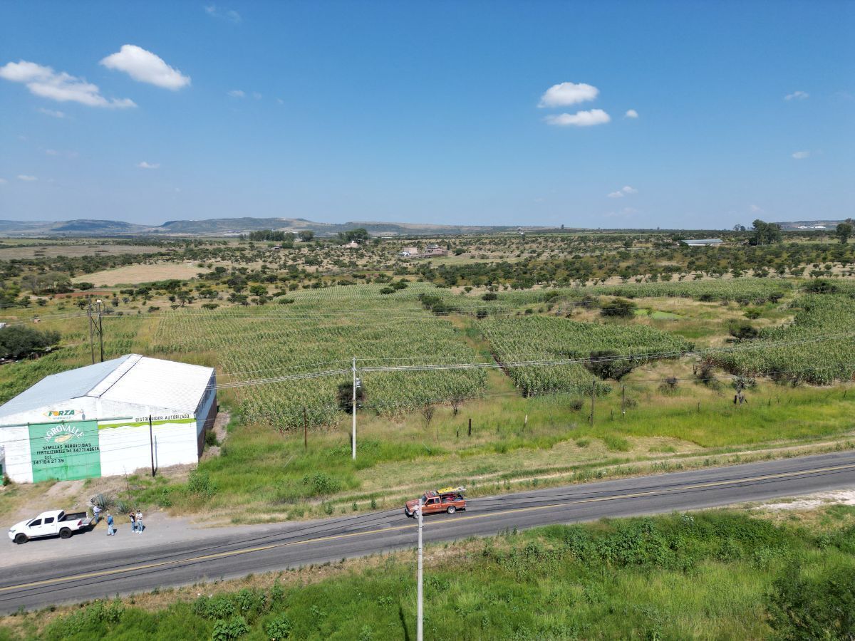 frente a carretera