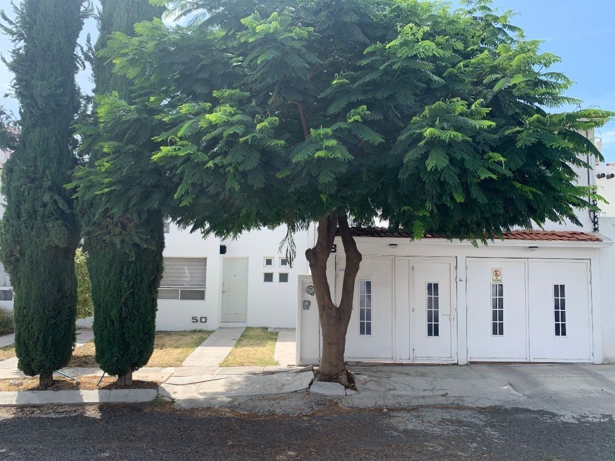 2 of 13: Calle de las imágenes