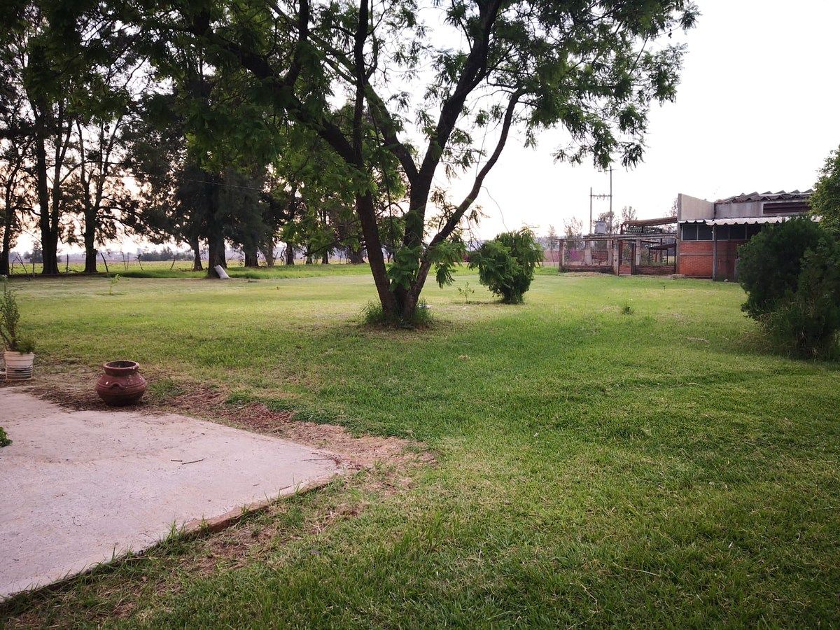 Lot in Tototlan Centro, Tototlán, photo 3 of 19