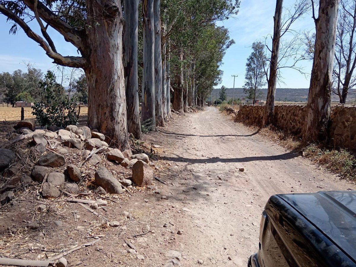 Lot in Tototlan Centro, Tototlán, photo 10 of 19