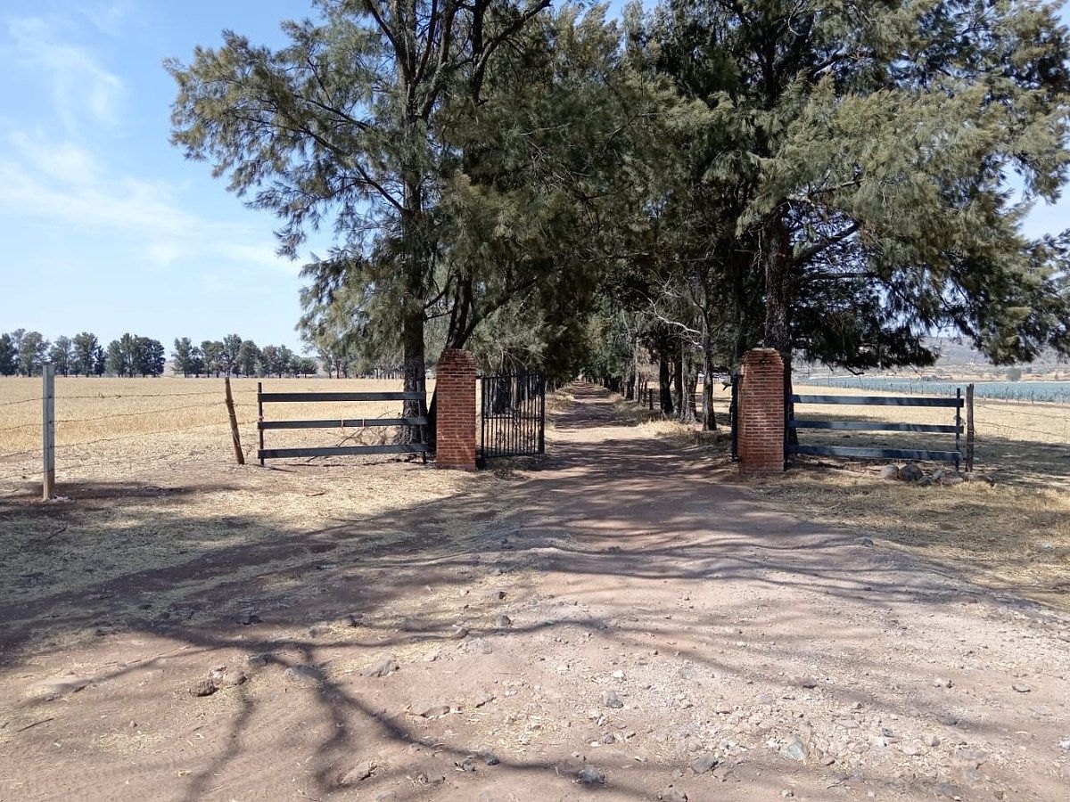 Lot in Tototlan Centro, Tototlán, photo 11 of 19
