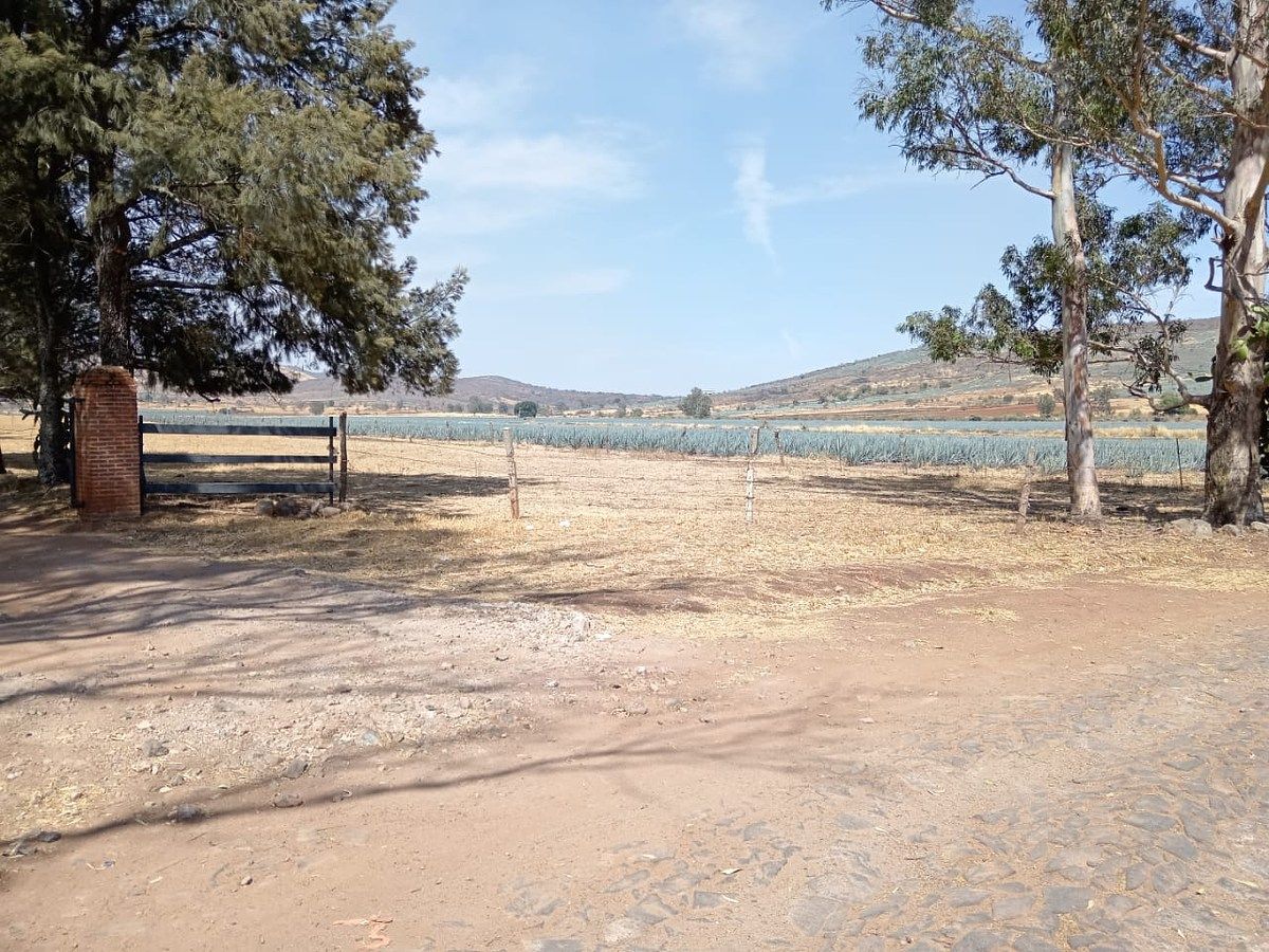 Lot in Tototlan Centro, Tototlán, photo 12 of 19