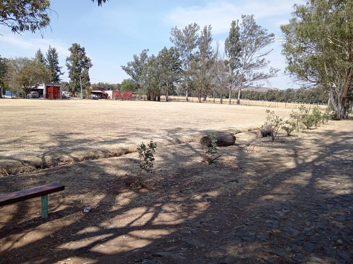 Lot in Tototlan Centro, Tototlán, photo 15 of 19