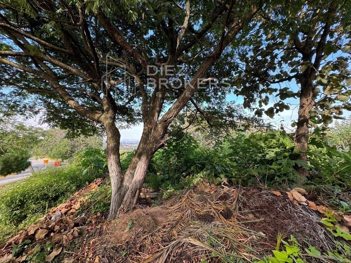 Terreno en venta en el Fraccionamiento el Palomar - foto 5