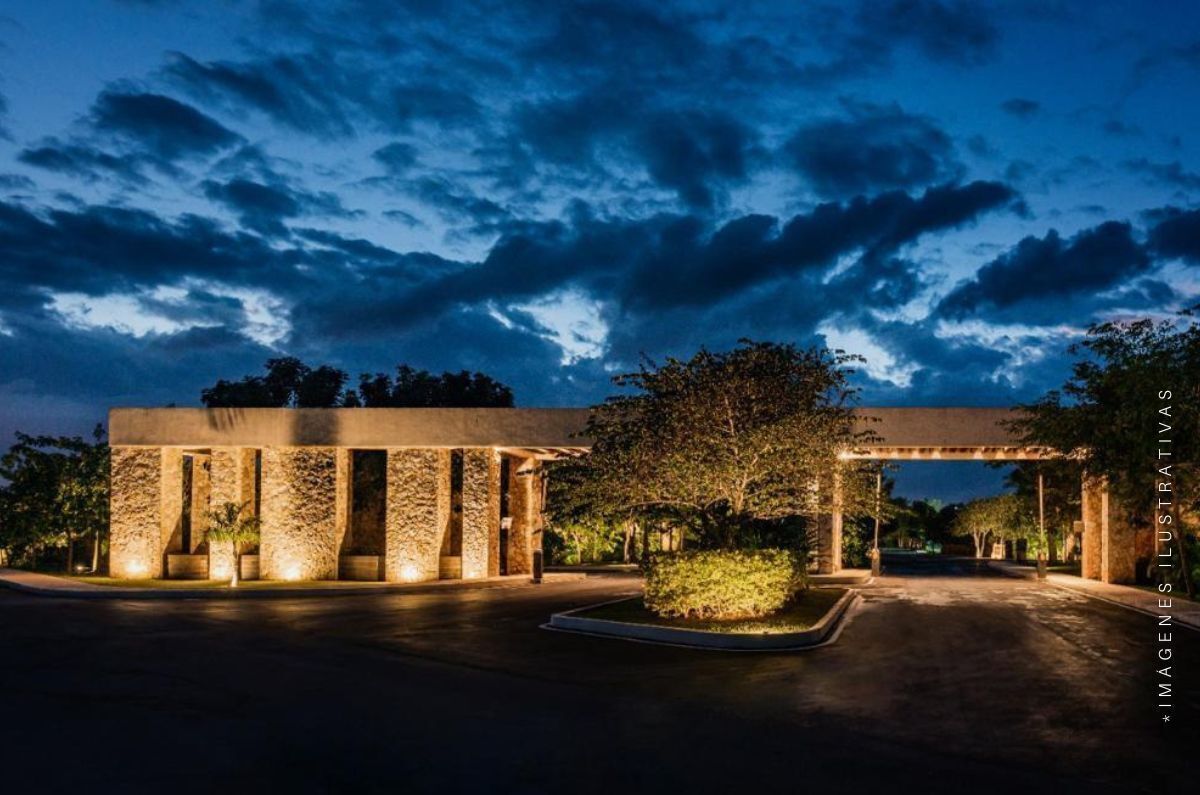 1 of 15: Entrada