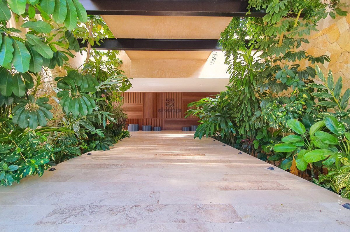 2 of 15: Entrada