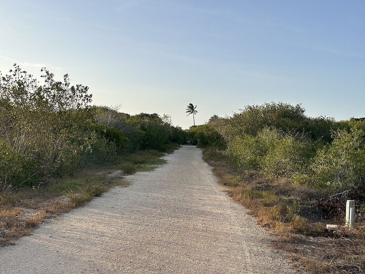 Lot in Sisal, Hunucmá, photo 11 of 12