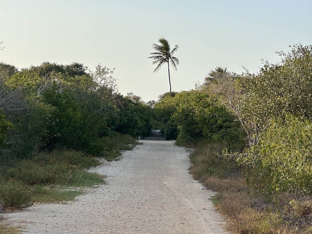 Lot in Sisal, Hunucmá, photo 12 of 12