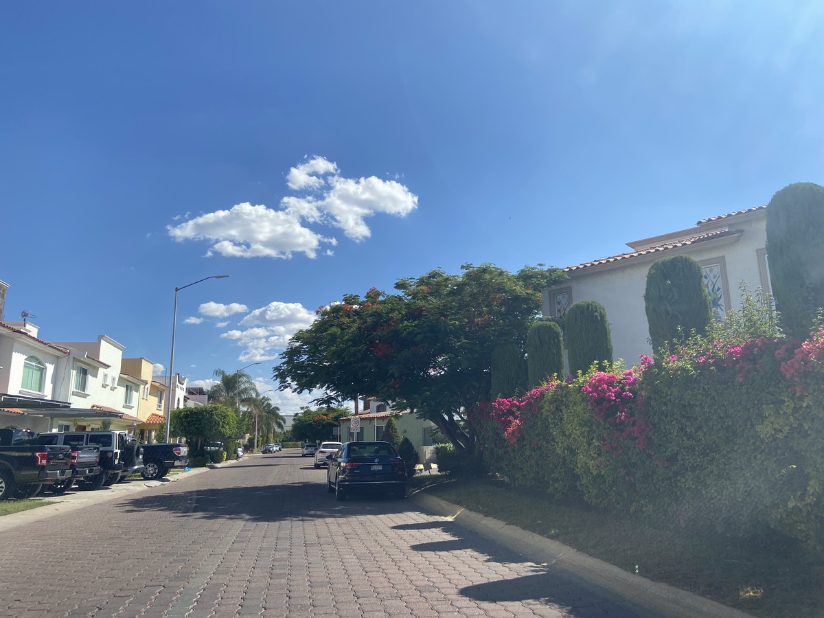 5 de 32