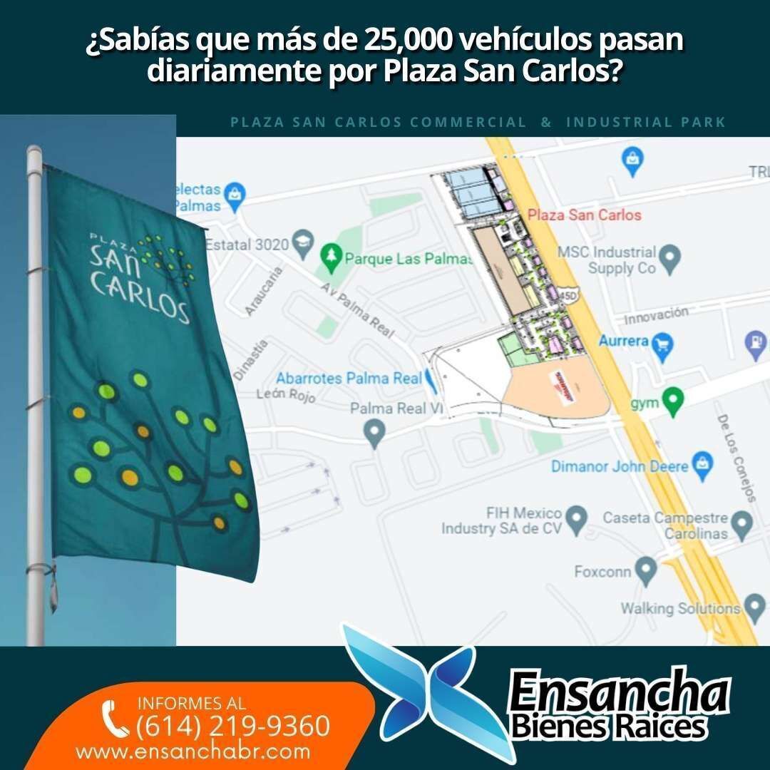 4 de 6