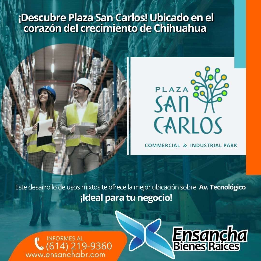 5 de 6
