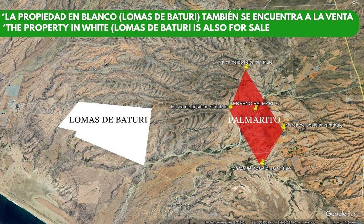 3 de 24
