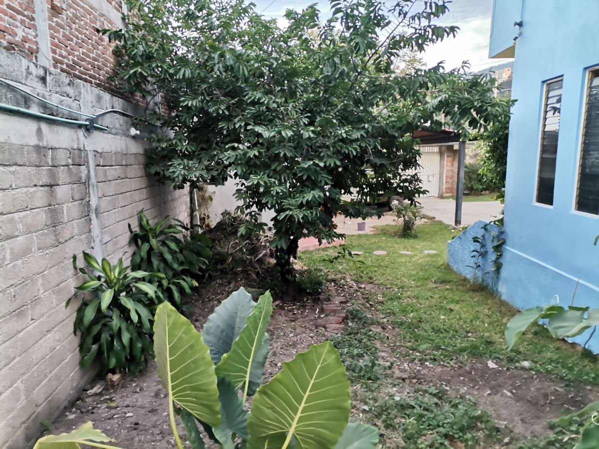 3 de 29: conexión de jardines