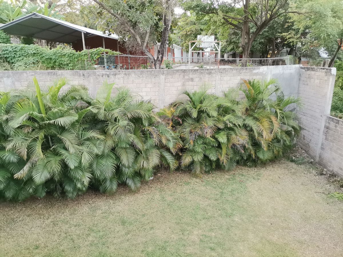 4 de 29