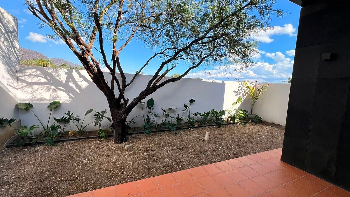 Terreno en Ajijic Centro, Chapala, foto 14 de 17