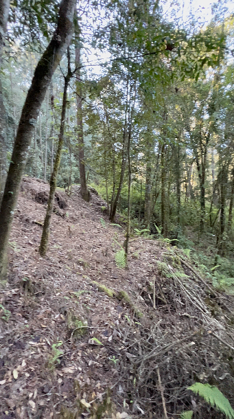Terreno comercial en Cerro Gordo, Valle de Bravo, foto 4 de 11