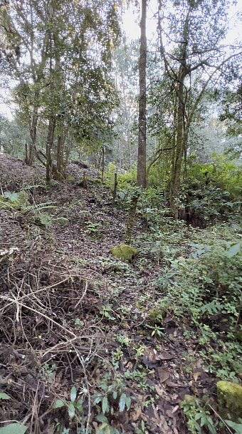 Terreno comercial en Cerro Gordo, Valle de Bravo, foto 5 de 11