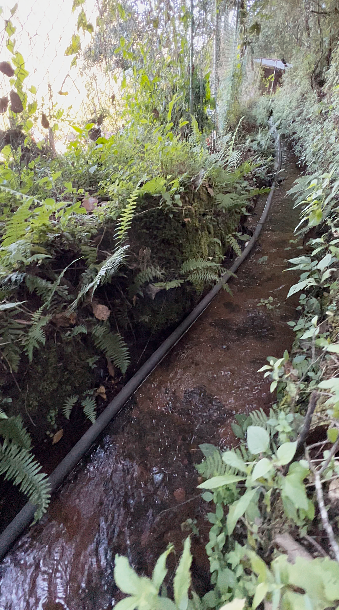 Terreno comercial en Cerro Gordo, Valle de Bravo, foto 8 de 11