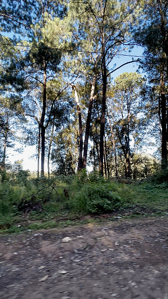 Terreno comercial en Cerro Gordo, Valle de Bravo, foto 11 de 11