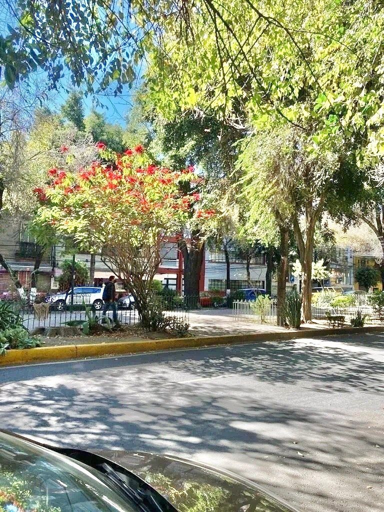 Departamento en Roma Norte, Cuauhtémoc, foto 23 de 23