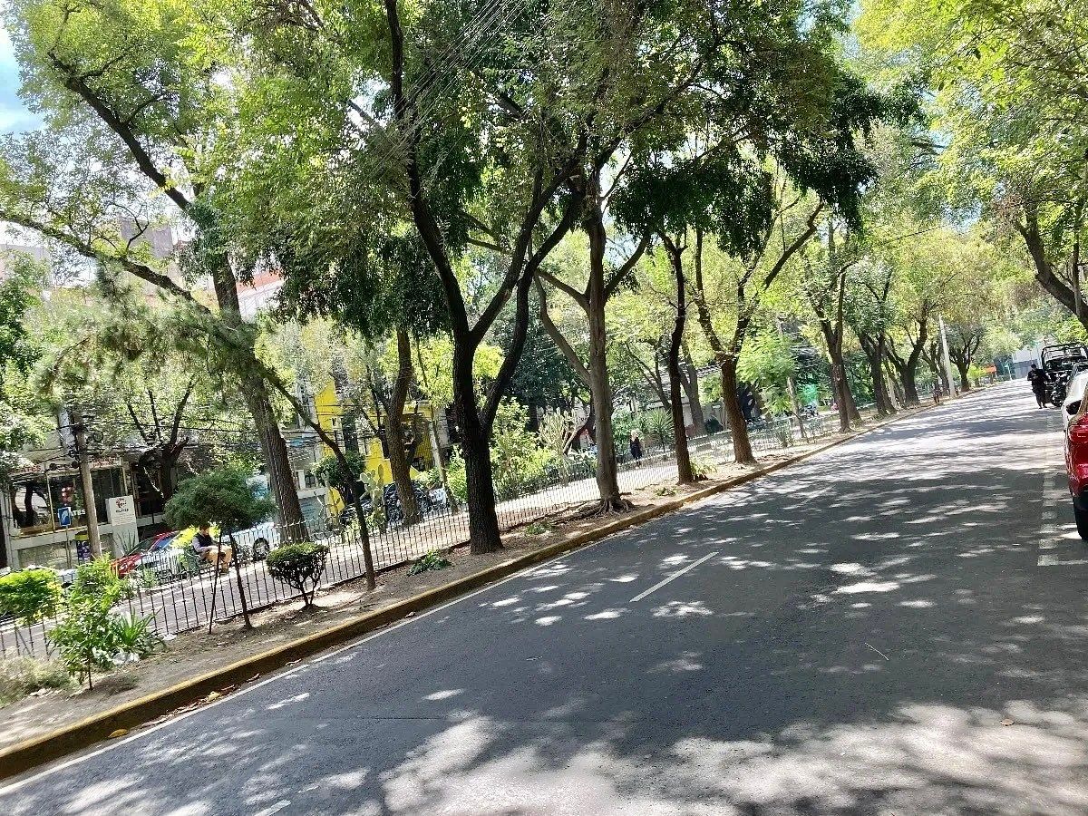 Departamento en Roma Norte, Cuauhtémoc, foto 22 de 23