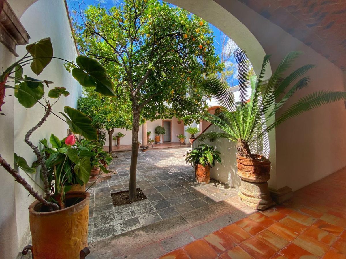 Patio Central