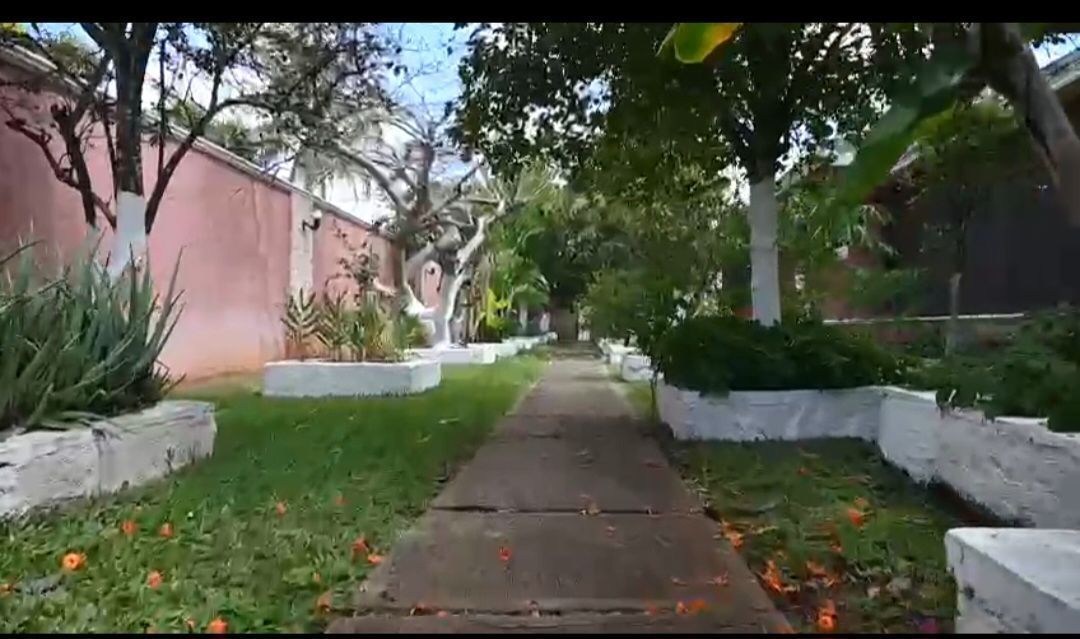 6 de 9