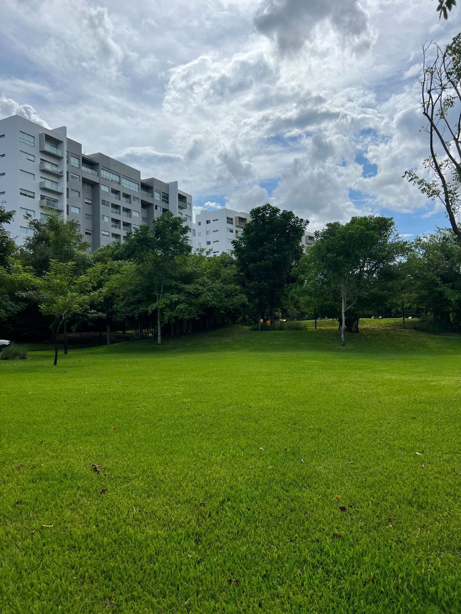 31 de 32