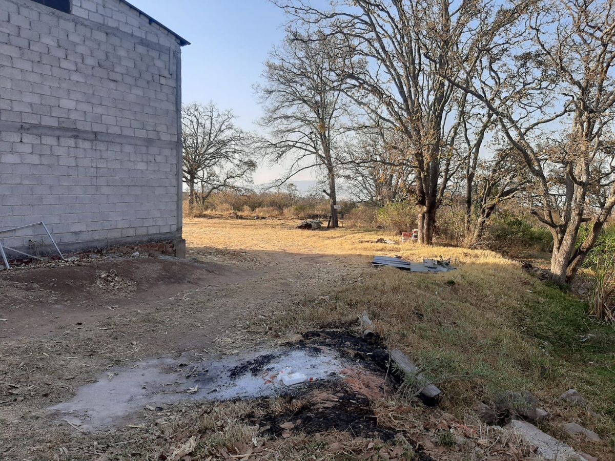 7 de 23: lateral de bodega