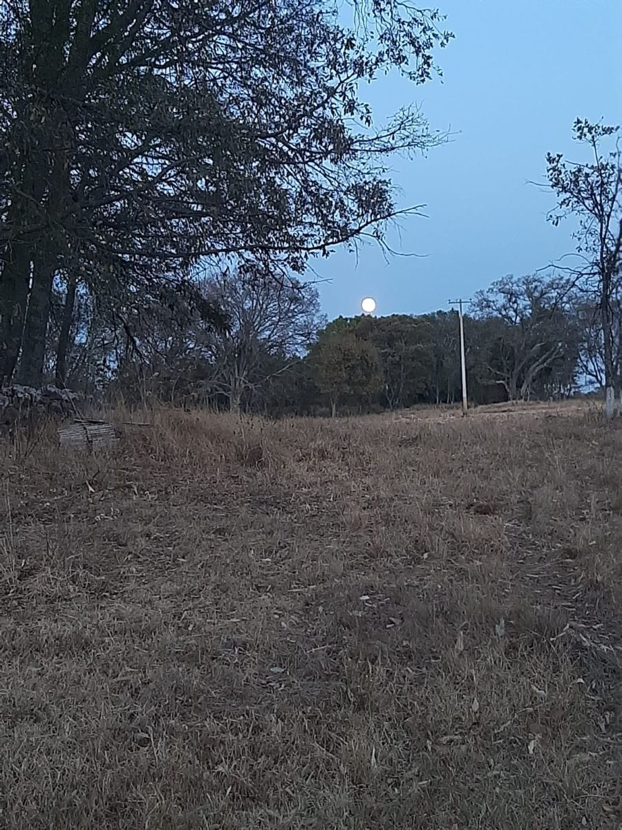 23 de 23: naturaleza